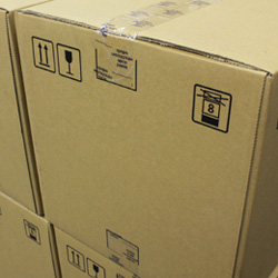 EOS C500