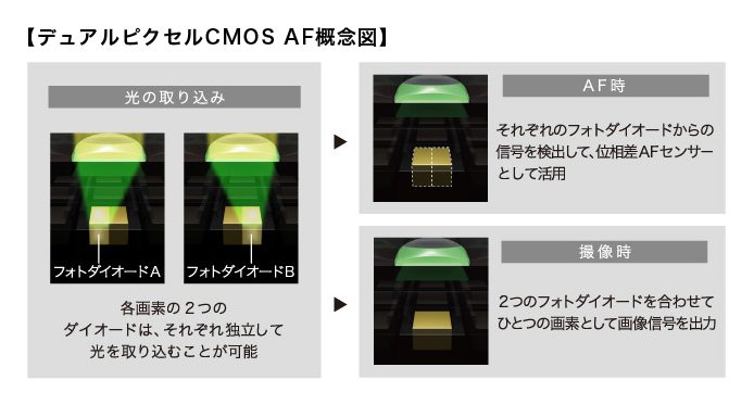 Canon EOS C100のオートフォーカス機能追加サービスに関するお知らせ