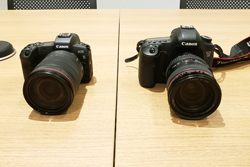 EOS Rと5D markIIIの比較写真