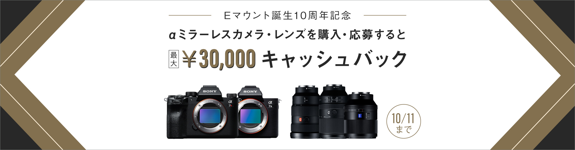 ソニー Eマウント誕生10周年記念 αミラーレス サンクスキャンペーン