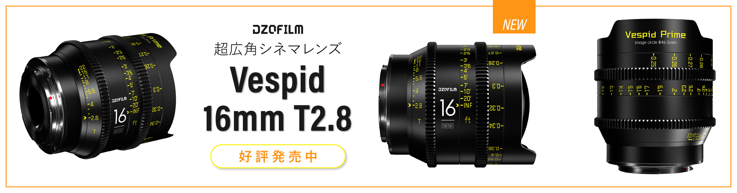 news_top_220117_DZOfilmVespid1